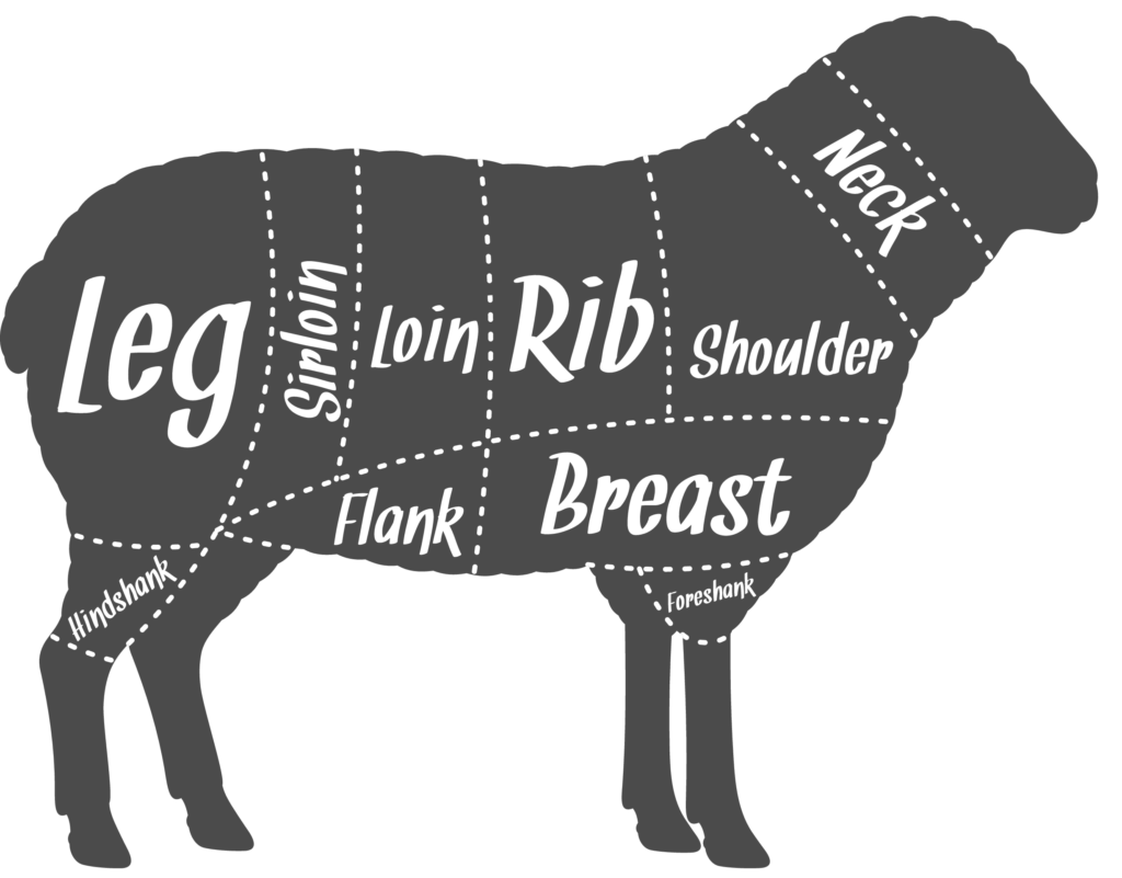 Picture of lamb cuts diagram